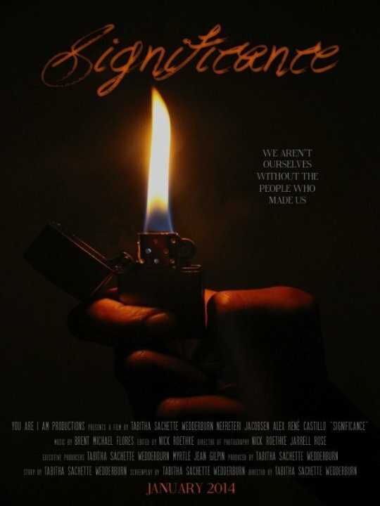 Significance (2014) постер